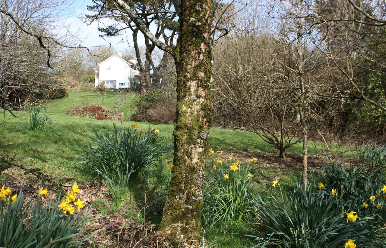 Coombe Farmhouse Bed & Breakfast St Ives  Bagian luar foto