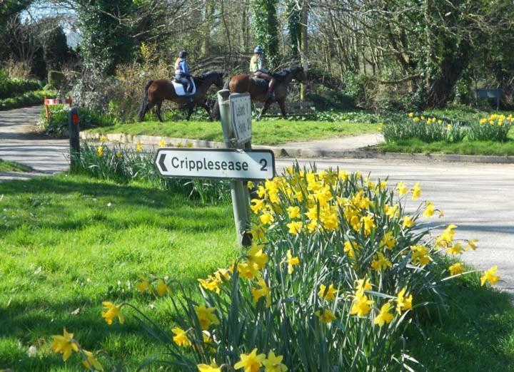 Coombe Farmhouse Bed & Breakfast St Ives  Bagian luar foto